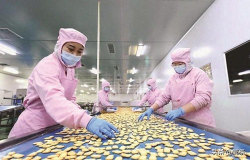 生物技術驅動邱縣食品產業新圖景 創新、升級與可持續發展